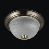 Стеклянный потолочный светильник Planum FR2913-CL-03-BZ белый Freya