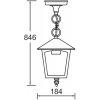 Стеклянный уличный светильник подвесной  15905 Gb прозрачный Oasis Light