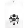 Стеклянный уличный светильник подвесной  79750S/3 Bl прозрачный Oasis Light