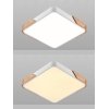 Потолочный светильник Scandinavian LED LAMPS 81410 белый Natali Kovaltseva