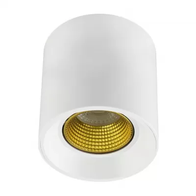 Точечный светильник  DK3090-WH+YE Denkirs