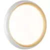 Настенно-потолочный светильник Tofiq White 7650/DL белый Sonex