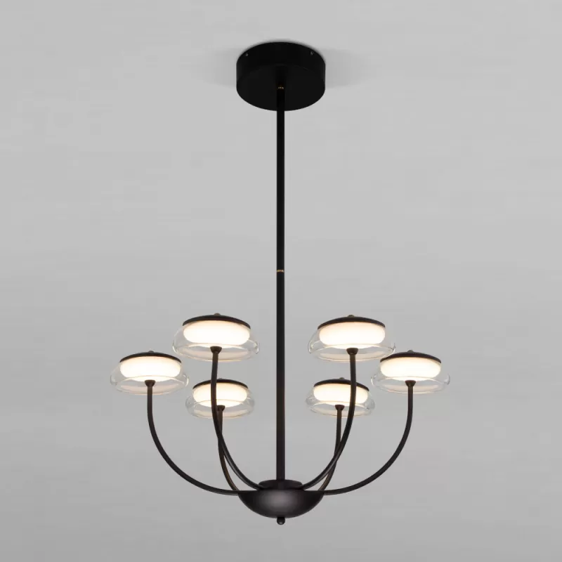 Стеклянная потолочная люстра Fungo 50388 LED Черный прозрачная Eurosvet Стеклянная потолочная люстра Fungo 50388 LED Черный прозрачная Eurosvet