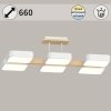 Потолочная люстра  03359-0.3-06 WH+WOOD белая