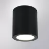 Потолочный светильник уличный Torcular A1313PF-1BK цилиндр черный Artelamp