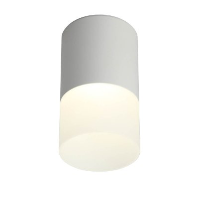 Точечный светильник 100 OML-100009-05 Omnilux