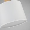 Подвесной светильник Roshe 2624-1P белый цилиндр Favourite