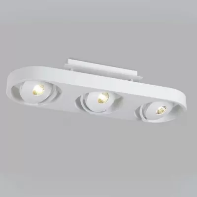 Спот DL18697 DL18697/13WW-White карданный