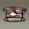 Стеклянный потолочный светильник уличный Mavret 4961/2C цилиндр прозрачный Odeon Light