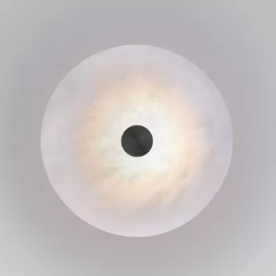 Настенный светильник Thasos 40341 LED черный Eurosvet