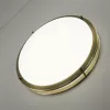 Настенно-потолочный светильник Бостон CL709503N белый Citilux