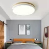 Стеклянный потолочный светильник  DISC-DH01 белый ImperiumLoft