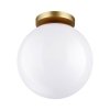 Потолочный светильник уличный Bosco 4248/1C форма шар белый Odeon Light