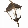 Стеклянный уличный светильник подвесной Domenico SL082.203.01 прозрачный ST Luce