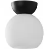 Стеклянный потолочный светильник Mono C6079-1 BK+WH форма шар белый iLamp Стеклянный потолочный светильник Mono C6079-1 BK+WH форма шар белый iLamp