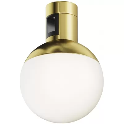 Трековый светильник Luna TR149-1-5W4K-BS Maytoni