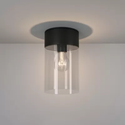 Потолочный светильник уличный Atrani 35085/F черный Elektrostandard