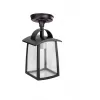 Стеклянный потолочный светильник уличный FRANKFURT I 2736 05ACl Bl прозрачный Oasis Light Стеклянный потолочный светильник уличный FRANKFURT I 2736 05ACl Bl прозрачный Oasis Light