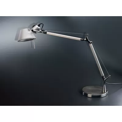 Интерьерная настольная лампа Legend 1869-1T Favourite