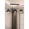 Потолочная люстра Lilian TL1611H-03BK конус черная TopLight