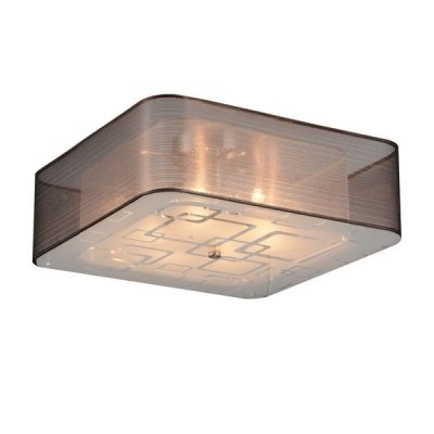 Потолочный светильник Ajur SL940.802.06 ST Luce прямоугольный