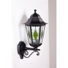 Стеклянный настенный фонарь уличный PETERSBURG lead GLASS 79801lg Bl прозрачный Oasis Light