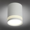Точечный светильник 100 OML-100109-12 цилиндр белый Omnilux