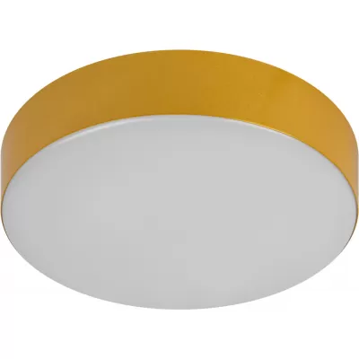 Потолочный светильник  Relict 22 SPB-6-20 4К MG ЭРА круглый