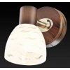 Стеклянный спот Shayla TL3730Y-01BB белый TopLight