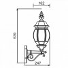 Стеклянный настенный фонарь уличный  83401S Gb прозрачный Oasis Light