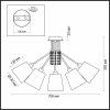 Потолочная люстра Zulienna 3314/5C белая Lumion