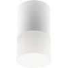 Точечный светильник Essen 52059 7 цилиндр белый