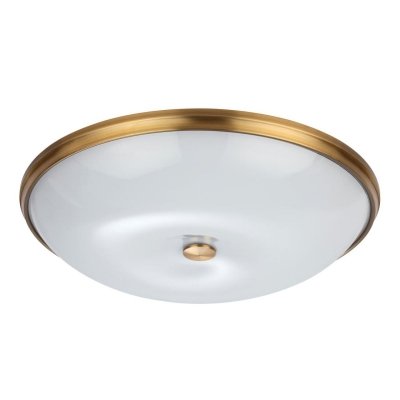 Настенно-потолочный светильник Pelow 4956/6 Odeon Light