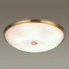 Стеклянный настенно-потолочный светильник Pelow 4956/6 белый Odeon Light