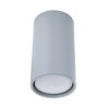 Точечный светильник Gavroche 1354/05 PL-1 серый цилиндр Divinare