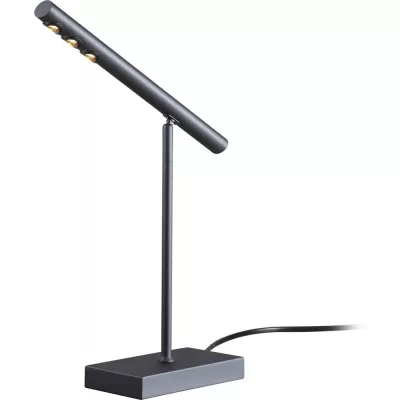 Интерьерная настольная лампа Celler 4321-1T Favourite