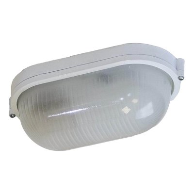 Настенно-потолочный светильник  НБП 04-100-001 ЭРА для бань и саун