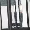 Стеклянный настенный фонарь уличный Wakefield QZ-WAKEFIELD-L-TBK прозрачный Quoizel Стеклянный настенный фонарь уличный Wakefield QZ-WAKEFIELD-L-TBK прозрачный Quoizel