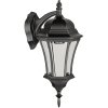 Стеклянный настенный фонарь уличный ASTORIA 1 L 91302L cover Bl прозрачный Oasis Light