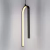 Подвесной светильник Saturno 749017 черный Lightstar