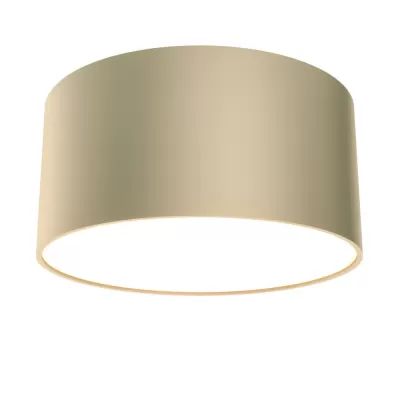 Потолочный светильник Zon C032CL-L12MG4K Maytoni