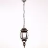 Стеклянный уличный светильник подвесной  83405L Gb прозрачный Oasis Light