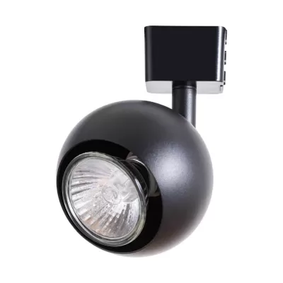 Трековый светильник Brad A6253PL-1BK Artelamp