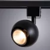 Трековый светильник Brad A6253PL-1BK форма шар черный Artelamp Трековый светильник Brad A6253PL-1BK форма шар черный Artelamp