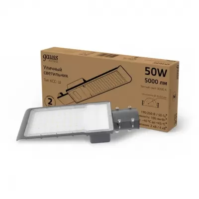 Уличный консольный светильник Avenue 629534150 Gauss