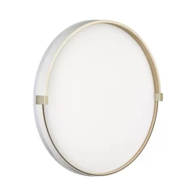 Настенно-потолочный светильник Olidi White 7646/DLN Sonex