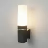 Настенный светильник уличный Techno 1534 TECHNO LED Elektrostandard