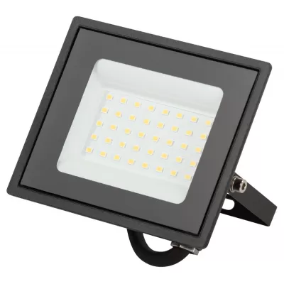 Прожектор уличный LPR-02 LPR-023-0-30K-030 ЭРА