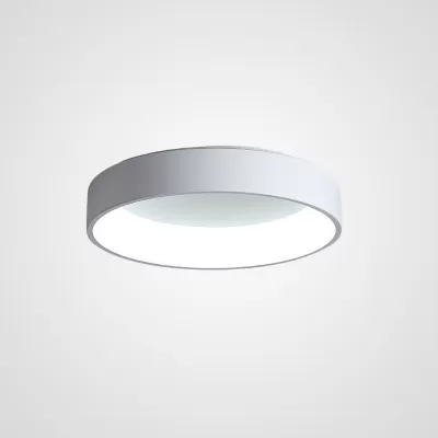 Потолочный светильник  TRAY01 ImperiumLoft
