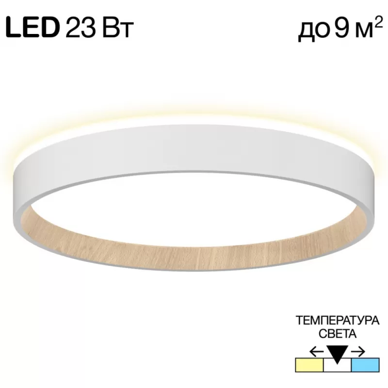 Настенно-потолочный светильник Etalon CL750240 белый Citilux Настенно-потолочный светильник Etalon CL750240 белый Citilux